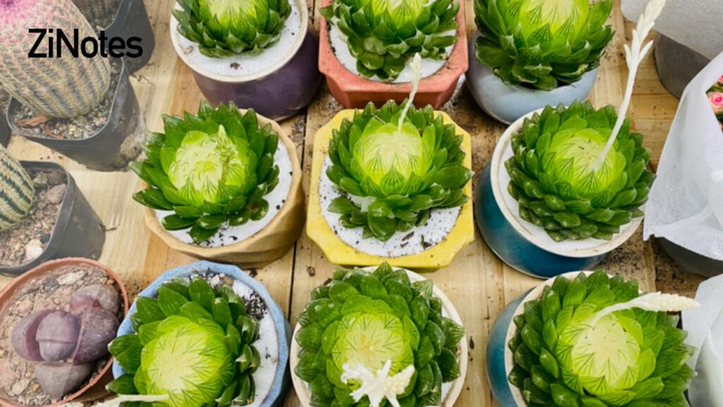 zinotes-hoc-tieng-trung-hsk-编译专题-chuyen-de-bien-dich-buoi-1