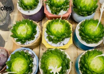 编译专题-chuyen-de-bien-dich-buoi-1-笔译