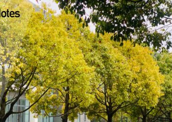 口译-翻译专题-chuyen-de-phien-dich-buoi-1